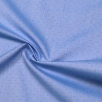 Hemden- und Blusenstoff Pünktchen - hellblau/weiss (2.Wahl)
