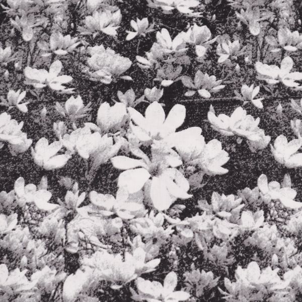 Baumwolle-Viskose Mix Blüten-Motiv - schwarz/grau/weiss